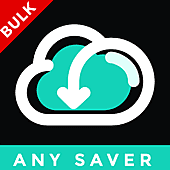 AnySaver - Download Insta Images/ Videos In Bulk!